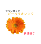 花言葉で日常会話2（個別スタンプ：22）