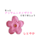 花言葉で日常会話2（個別スタンプ：24）