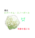 花言葉で日常会話2（個別スタンプ：26）