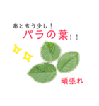 花言葉で日常会話2（個別スタンプ：27）
