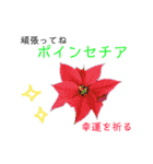 花言葉で日常会話2（個別スタンプ：28）