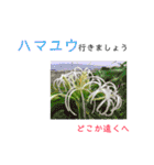 花言葉で日常会話2（個別スタンプ：30）