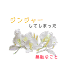 花言葉で日常会話2（個別スタンプ：31）