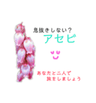 花言葉で日常会話2（個別スタンプ：34）