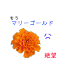 花言葉で日常会話2（個別スタンプ：37）