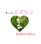 花言葉で日常会話2（個別スタンプ：40）