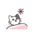 日常系ねこスタンプ（個別スタンプ：1）