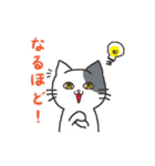 日常系ねこスタンプ（個別スタンプ：3）