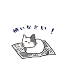 日常系ねこスタンプ（個別スタンプ：7）