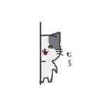日常系ねこスタンプ（個別スタンプ：8）