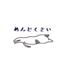 日常系ねこスタンプ（個別スタンプ：9）