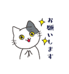 日常系ねこスタンプ（個別スタンプ：12）