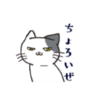 日常系ねこスタンプ（個別スタンプ：13）