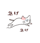 日常系ねこスタンプ（個別スタンプ：34）