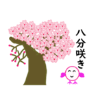 春の桜とお花見スタンプ（2）（個別スタンプ：13）
