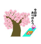春の桜とお花見スタンプ（2）（個別スタンプ：30）