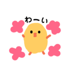 丸ひよ 親しい仲（個別スタンプ：1）