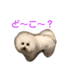 チャチャワールド（個別スタンプ：2）