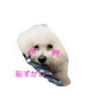 チャチャワールド（個別スタンプ：3）