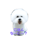 チャチャワールド（個別スタンプ：4）