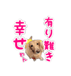 くうちゃんの友達たち（個別スタンプ：3）