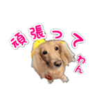 くうちゃんの友達たち（個別スタンプ：4）