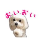 くうちゃんの友達たち（個別スタンプ：5）