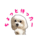 くうちゃんの友達たち（個別スタンプ：6）