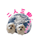 くうちゃんの友達たち（個別スタンプ：7）