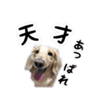 くうちゃんの友達たち（個別スタンプ：8）