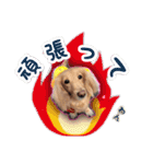 くうちゃんの友達たち（個別スタンプ：10）