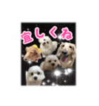 くうちゃんの友達たち（個別スタンプ：16）