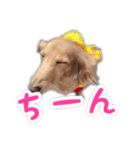 くうちゃんの友達たち（個別スタンプ：18）