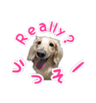 くうちゃんの友達たち（個別スタンプ：19）