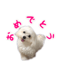 くうちゃんの友達たち（個別スタンプ：20）