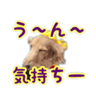 くうちゃんの友達たち（個別スタンプ：21）