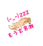 くうちゃんの友達たち（個別スタンプ：22）