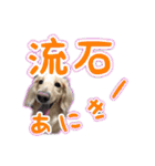 くうちゃんの友達たち（個別スタンプ：24）