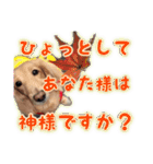 くうちゃんの友達たち（個別スタンプ：25）