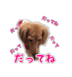 くうちゃんの友達たち（個別スタンプ：27）
