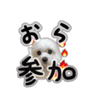 くうちゃんの友達たち（個別スタンプ：33）