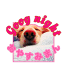 くうちゃんの友達たち（個別スタンプ：38）
