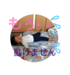 けんちんぼぅ...（個別スタンプ：8）