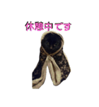 花と黒ネコ達（個別スタンプ：9）