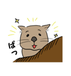 色々ウォンバット（個別スタンプ：12）