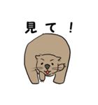 色々ウォンバット（個別スタンプ：34）
