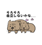 色々ウォンバット（個別スタンプ：36）