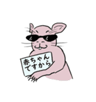 色々ウォンバット（個別スタンプ：40）
