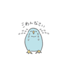 日常で使えるサザナミインコのペルさん（個別スタンプ：6）