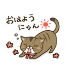 ぶちゃかわ猫、くりのスタンプ（個別スタンプ：1）